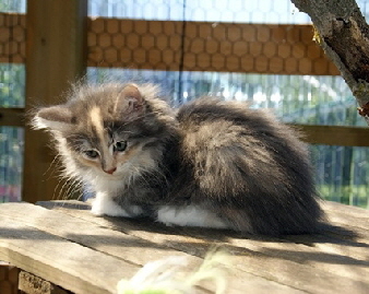DSC09917 - Kopie