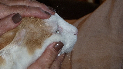 P1000149