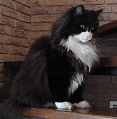 P1000406