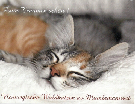 Scannen0001 (6)