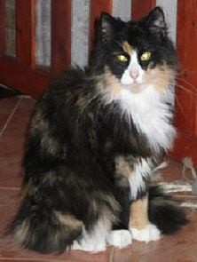 mette 01.08.2012