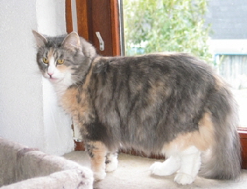 mindy .22.03.09.1