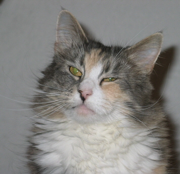 mindy 22.03.09