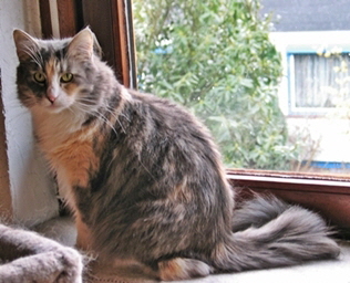 mindy. 22.03.09.3